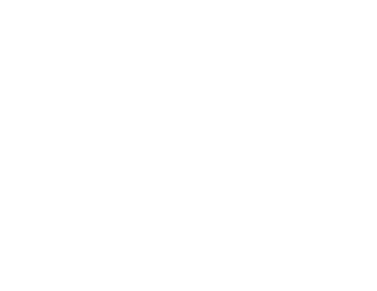 WASHOUT XLP logo